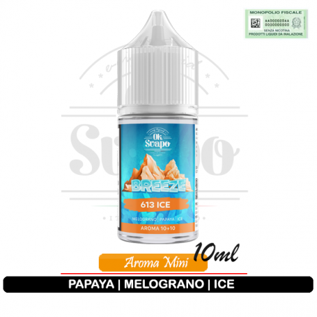 613 Ice Aroma Mini 10+10 OK SVAPO