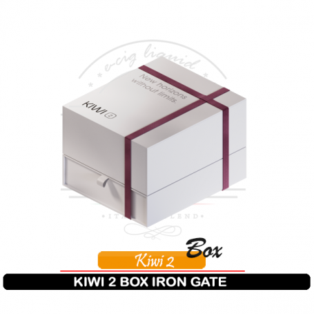 Gift Box Kiwi 2 Iron Gate