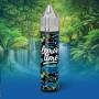 Blueberry Lemon Time Aroma 10ml Eliquid France