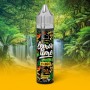 Mango Lemon Time Aroma 10ml Eliquid France