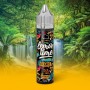 Orange Lemon Time Aroma 10ml Eliquid France