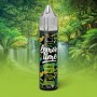 Snake Fruit Lemon Time Aroma 10ml Eliquid France