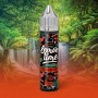Strawberry Lemon Time Aroma 10ml Eliquid France