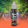 Watermelon Lemon Time Aroma 10ml Eliquid France